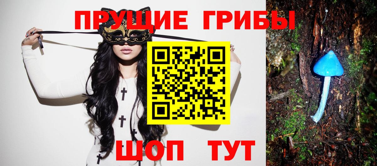 Псилоцибиновые грибы Psilocybe  что такое   Волгоград  Вход с VPN 